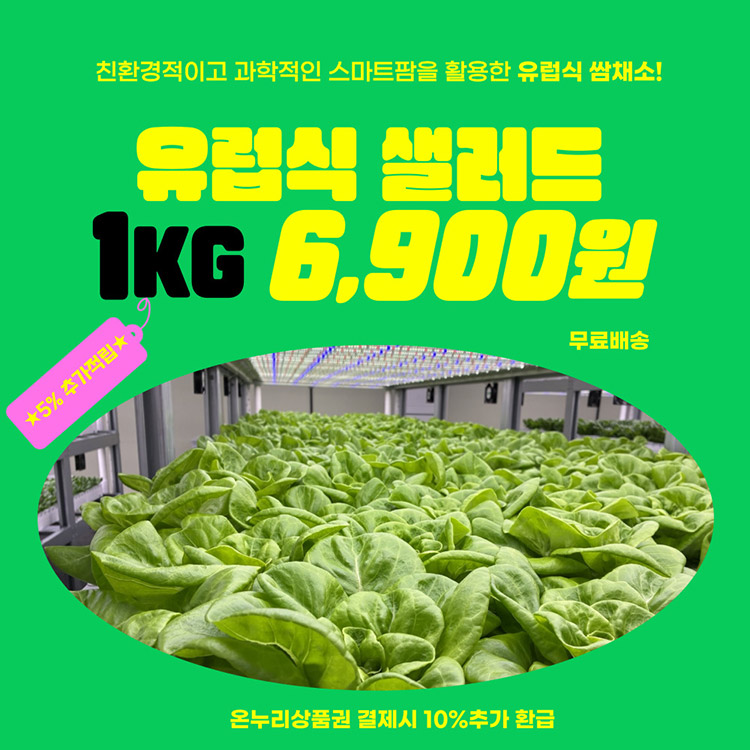 농협 샐러드 채소