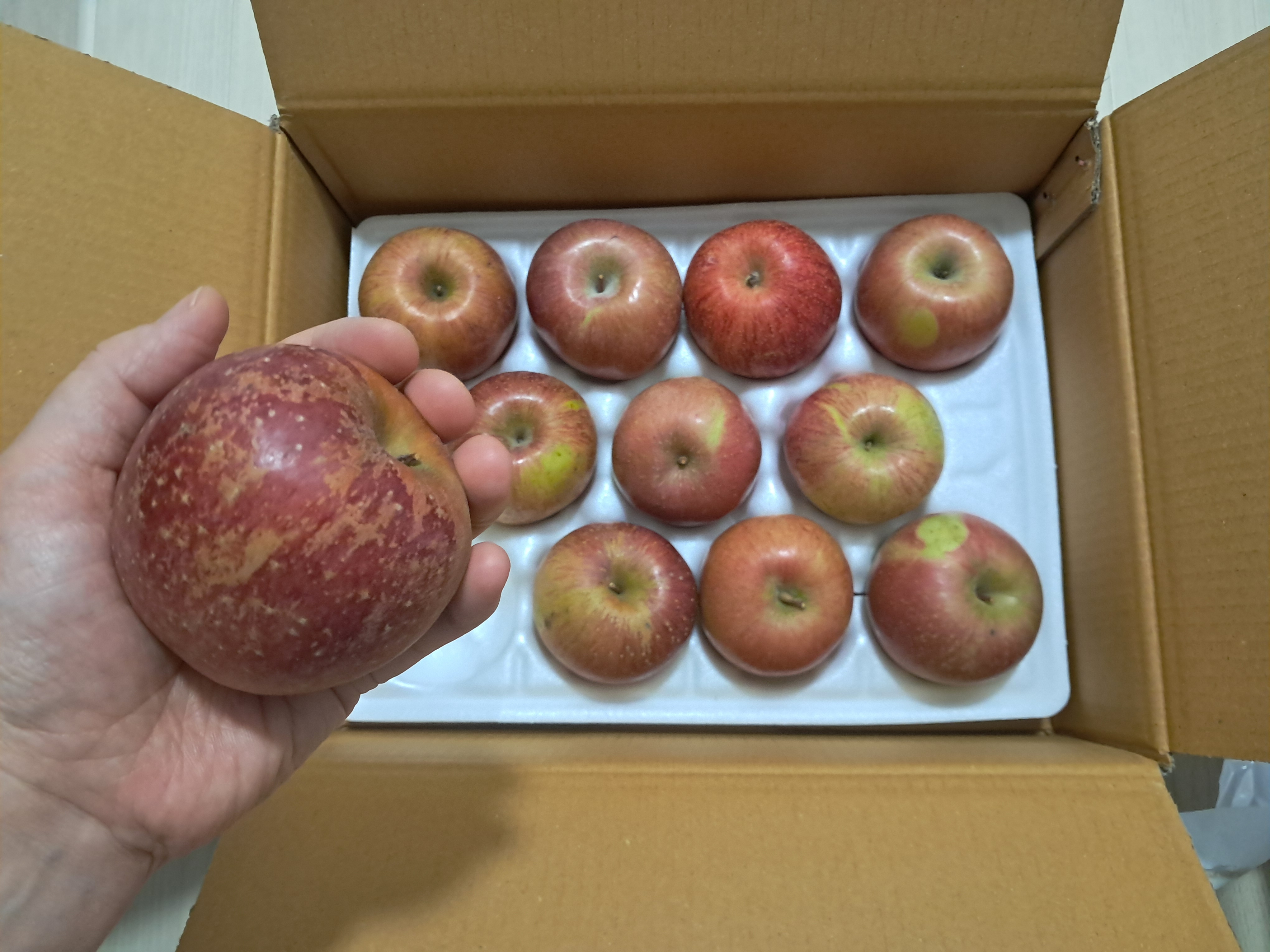 review photo