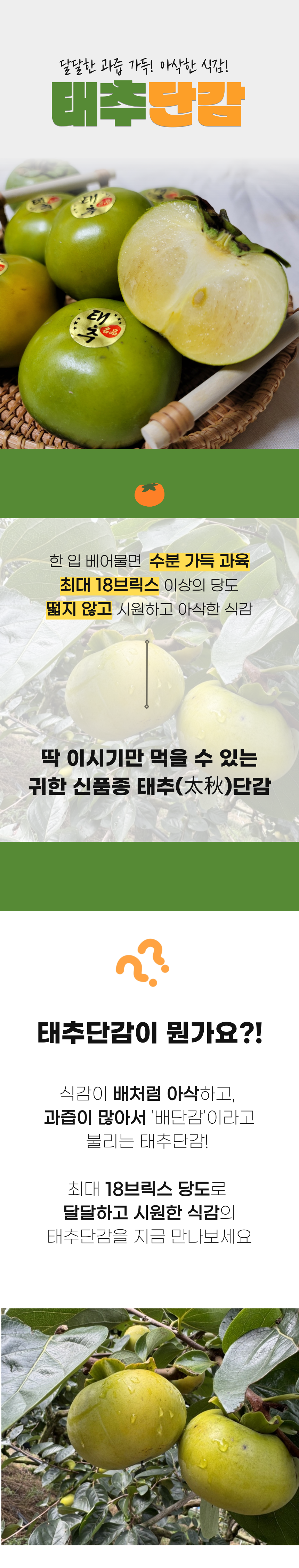 c38df15971b1d1596b0e259cdf95aaea_1727818626_2358.png