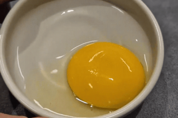a358e0a30e50e03ac690ef2bed84baeb_1743188416_1921.gif