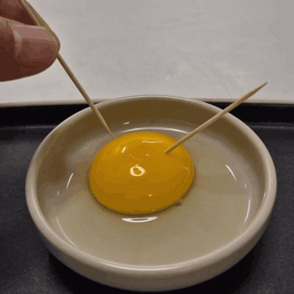 a358e0a30e50e03ac690ef2bed84baeb_1743188447_3555.gif