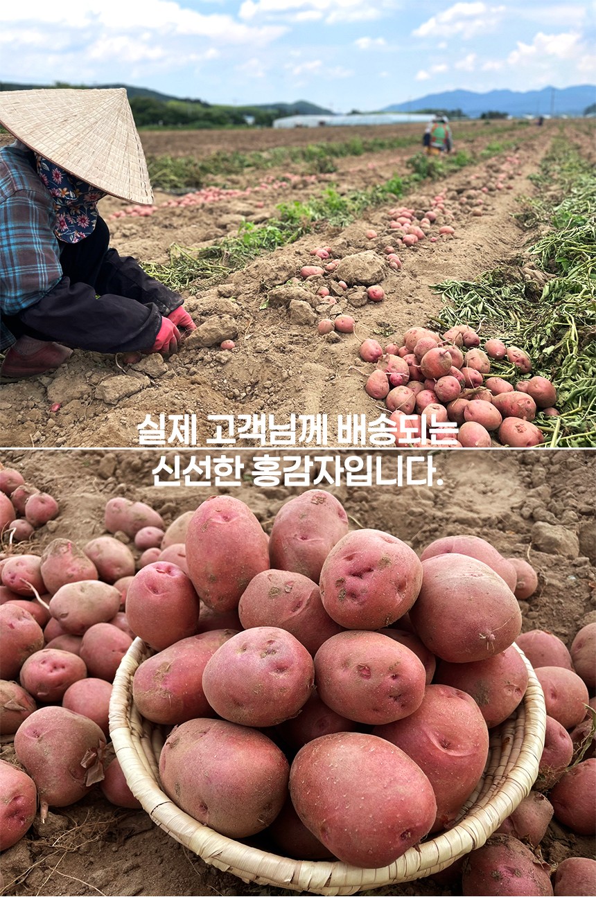 c11c860bc2d1c7e4f20555981df239ef_1748401071_5757.jpg c11c860bc2d1c7e4f20555981df239ef_1748401071_5757.jpg