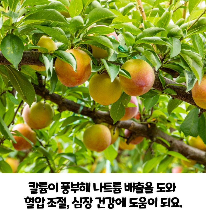 17b2f05a791f9f5965cc95e13634dd56_1750296426_2149.jpg 17b2f05a791f9f5965cc95e13634dd56_1750296426_2149.jpg