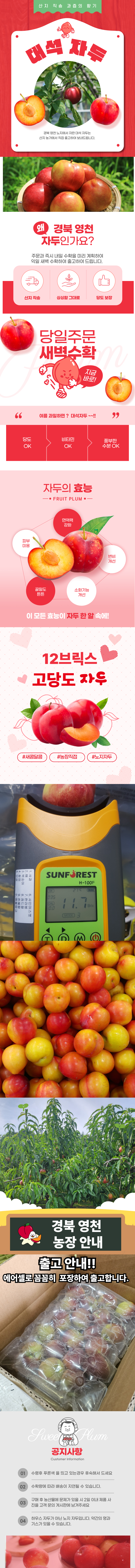 7af661ea30aee7e4b5af0febd272f3b9_1750406844_3096.png