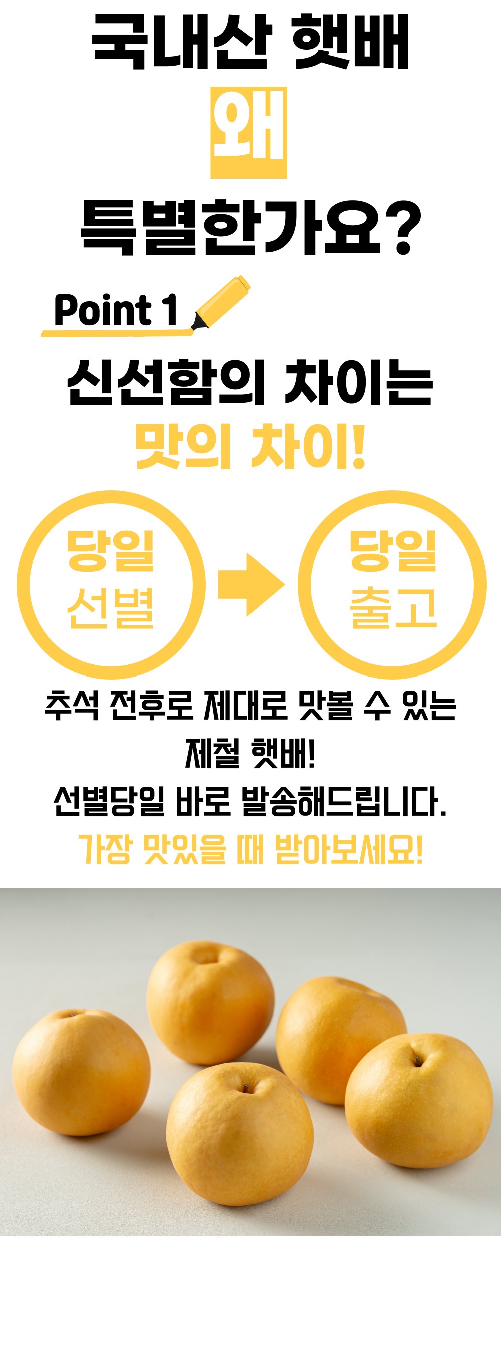 509847e2fac9906f9f48195ce6e171ed_1756865204_1696.png