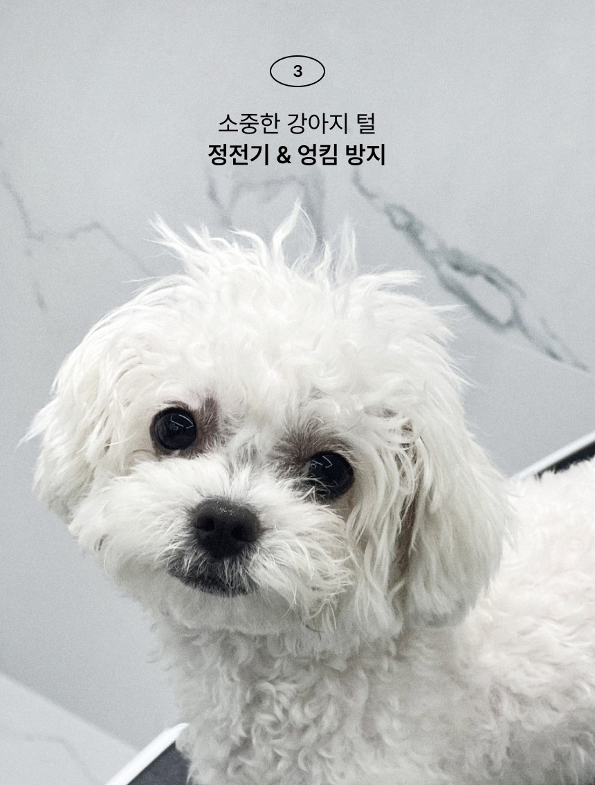 87ca2fa3e5223c52bcb95e3e759df10a_1761738321_5799.jpg 87ca2fa3e5223c52bcb95e3e759df10a_1761738321_5799.jpg