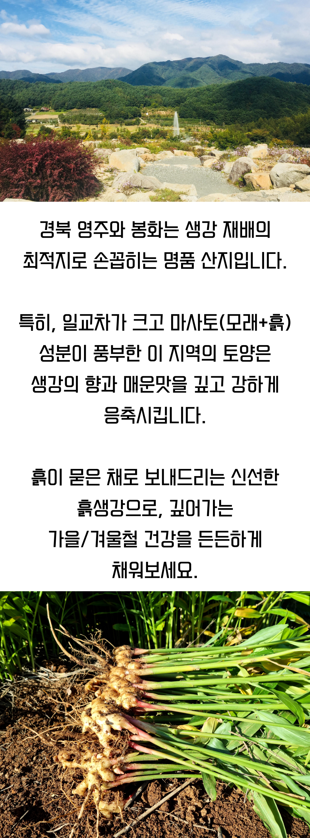 2c2fdfdbf27bc060f03bcb4ca75102a0_1762991212_9238.png 2c2fdfdbf27bc060f03bcb4ca75102a0_1762991212_9238.png