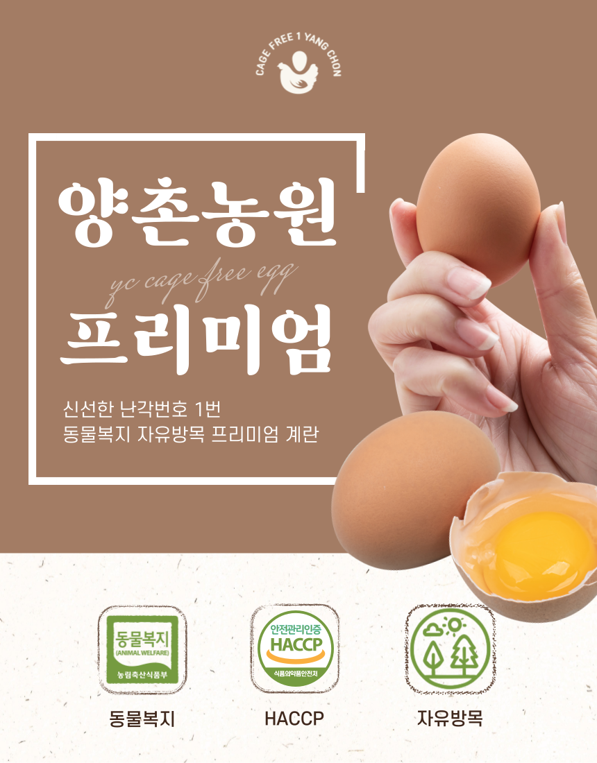 5da355332e96f3c721f6a14c824c7237_1762829733_3644.png 5da355332e96f3c721f6a14c824c7237_1762829733_3644.png