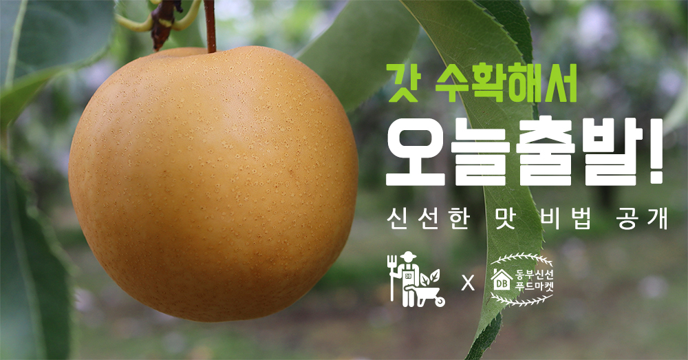 a6ad723fe4521fa1fd4b9de3a4dedf85_1763454122_2297.jpg a6ad723fe4521fa1fd4b9de3a4dedf85_1763454122_2297.jpg