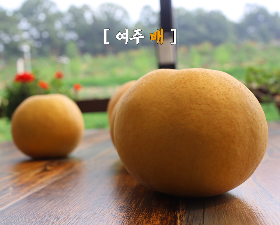 a6ad723fe4521fa1fd4b9de3a4dedf85_1763454394_9087.jpg a6ad723fe4521fa1fd4b9de3a4dedf85_1763454394_9087.jpg