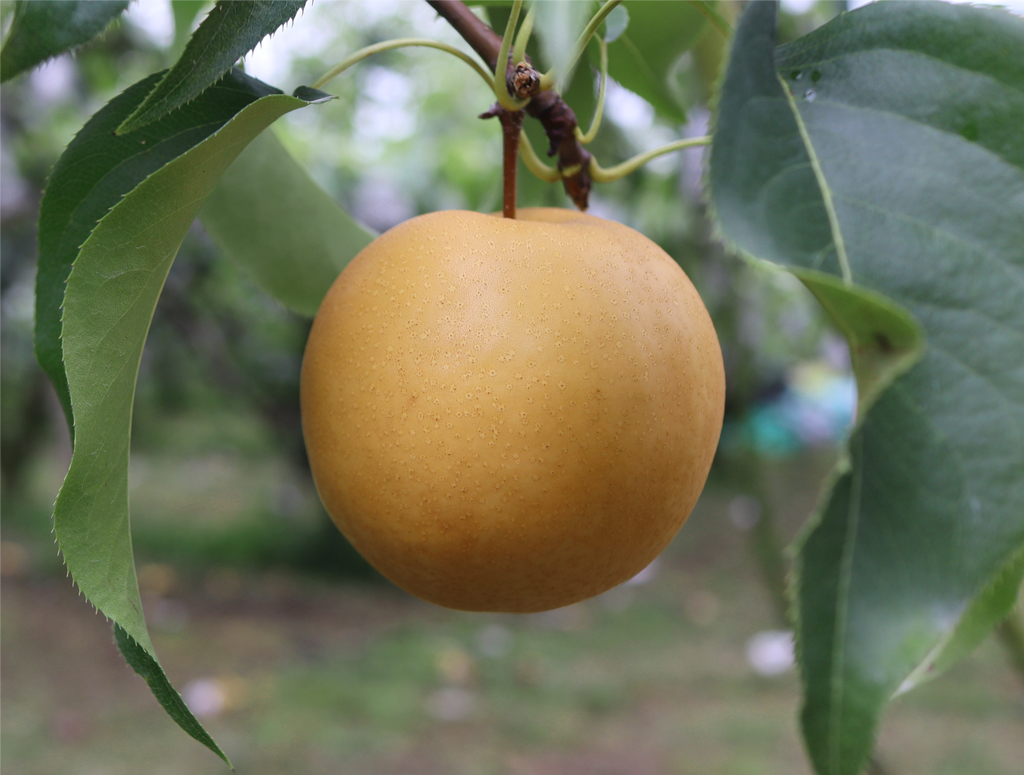 a6ad723fe4521fa1fd4b9de3a4dedf85_1763454658_5362.jpg a6ad723fe4521fa1fd4b9de3a4dedf85_1763454658_5362.jpg