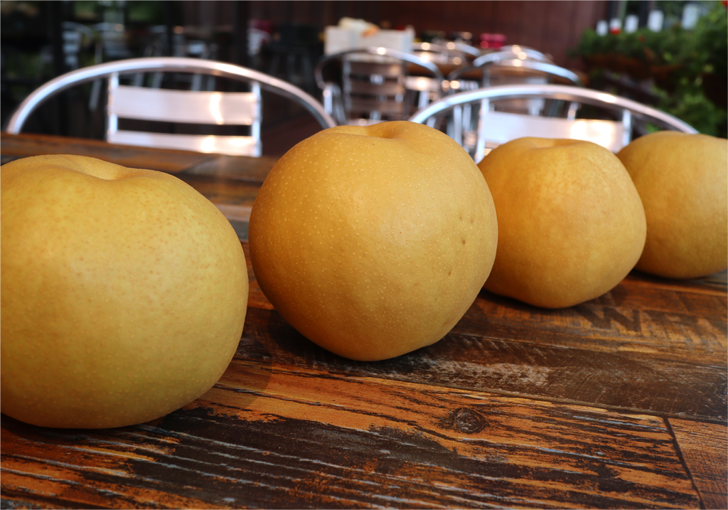 a6ad723fe4521fa1fd4b9de3a4dedf85_1763455305_4457.jpg a6ad723fe4521fa1fd4b9de3a4dedf85_1763455305_4457.jpg