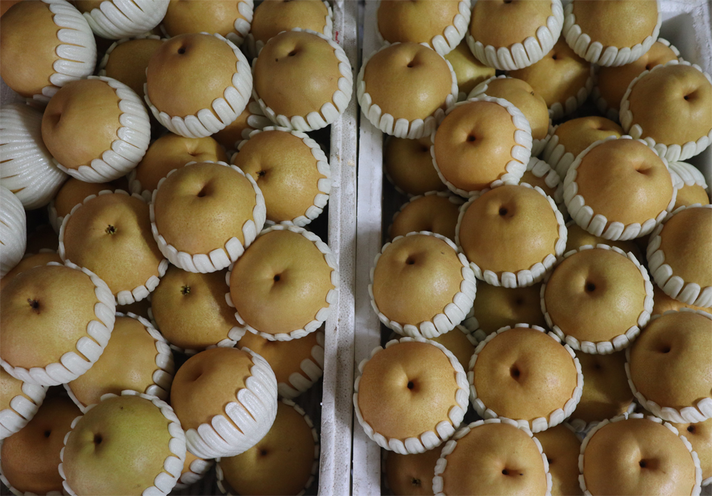 a6ad723fe4521fa1fd4b9de3a4dedf85_1763455480_9316.jpg a6ad723fe4521fa1fd4b9de3a4dedf85_1763455480_9316.jpg