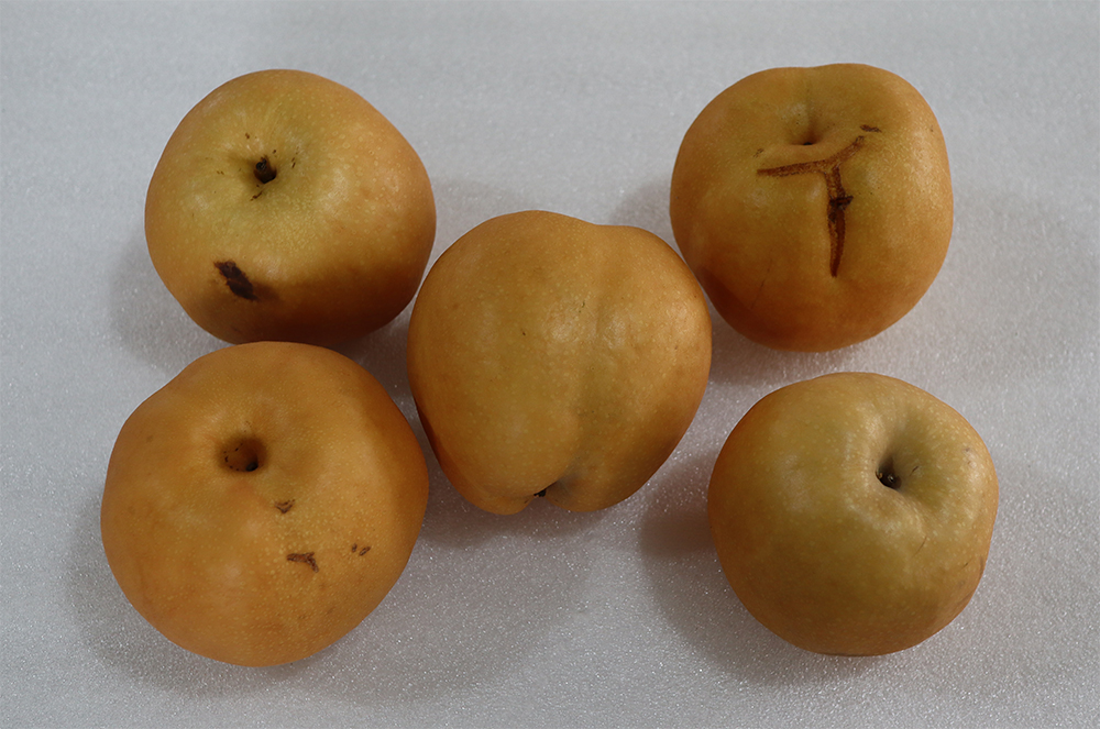 a6ad723fe4521fa1fd4b9de3a4dedf85_1763455669_8917.jpg a6ad723fe4521fa1fd4b9de3a4dedf85_1763455669_8917.jpg