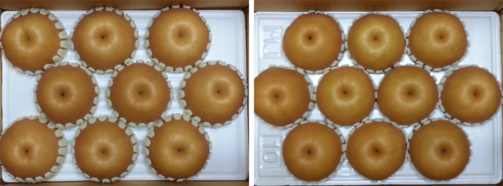 a6ad723fe4521fa1fd4b9de3a4dedf85_1763455801_0153.jpg a6ad723fe4521fa1fd4b9de3a4dedf85_1763455801_0153.jpg