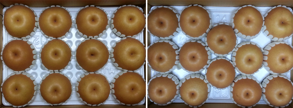 a6ad723fe4521fa1fd4b9de3a4dedf85_1763455896_6028.jpg a6ad723fe4521fa1fd4b9de3a4dedf85_1763455896_6028.jpg