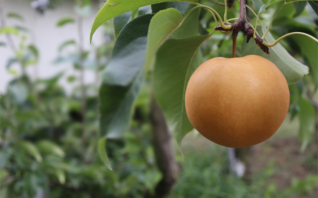 a6ad723fe4521fa1fd4b9de3a4dedf85_1763455975_1911.jpg a6ad723fe4521fa1fd4b9de3a4dedf85_1763455975_1911.jpg