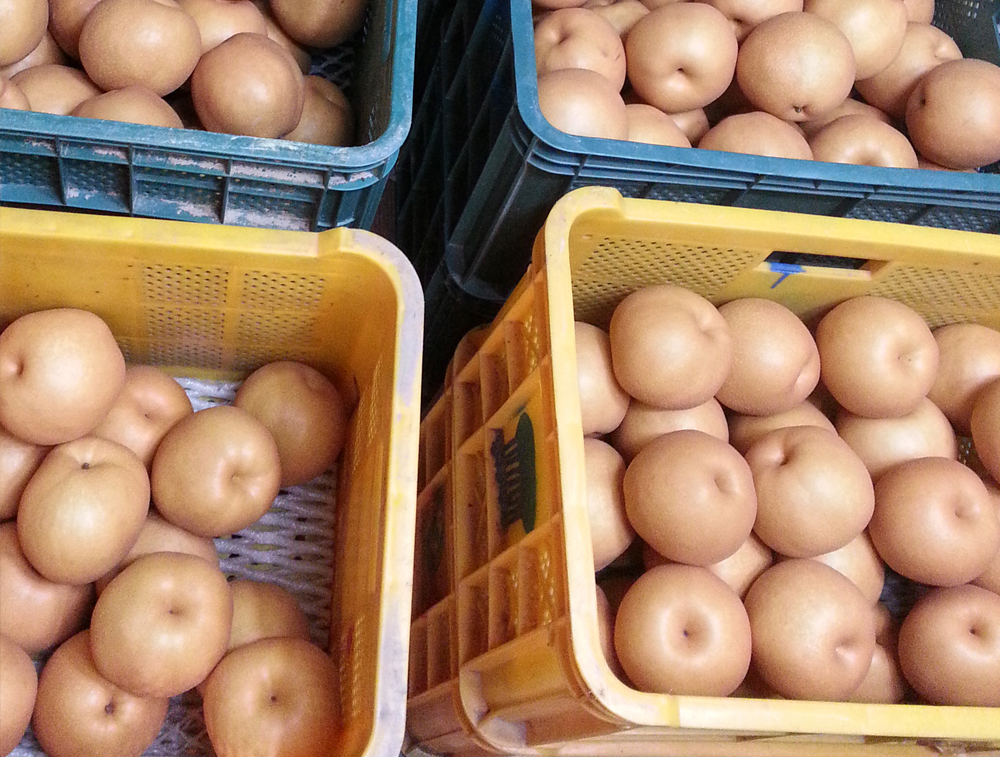 a6ad723fe4521fa1fd4b9de3a4dedf85_1763456006_7325.jpg a6ad723fe4521fa1fd4b9de3a4dedf85_1763456006_7325.jpg