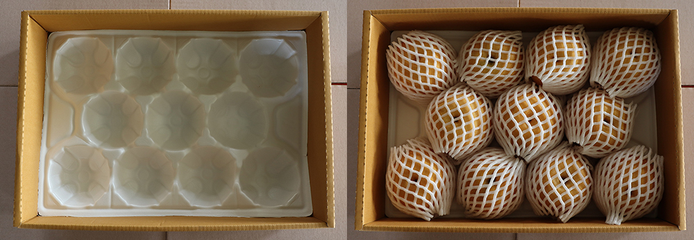 a6ad723fe4521fa1fd4b9de3a4dedf85_1763456095_5119.jpg a6ad723fe4521fa1fd4b9de3a4dedf85_1763456095_5119.jpg