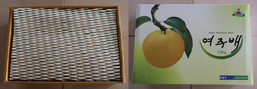 a6ad723fe4521fa1fd4b9de3a4dedf85_1763456151_2456.jpg a6ad723fe4521fa1fd4b9de3a4dedf85_1763456151_2456.jpg