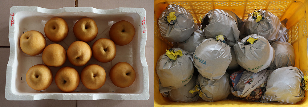 a6ad723fe4521fa1fd4b9de3a4dedf85_1763456394_9673.jpg a6ad723fe4521fa1fd4b9de3a4dedf85_1763456394_9673.jpg