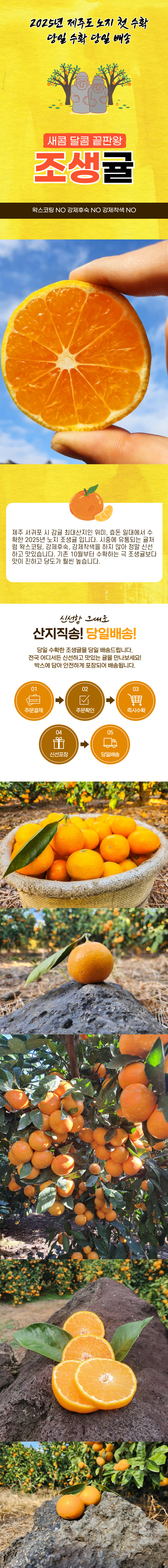 c09b5ca99f65015a61f56145b05fa3b6_1763006397_3685.jpg c09b5ca99f65015a61f56145b05fa3b6_1763006397_3685.jpg