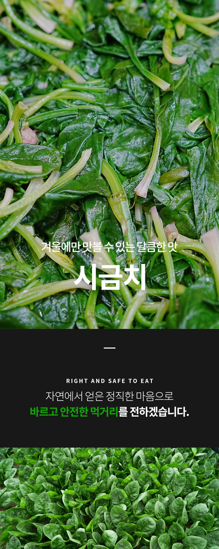 c261e3c78bb86febe40643e9e9666891_1764179329_4397.jpg c261e3c78bb86febe40643e9e9666891_1764179329_4397.jpg