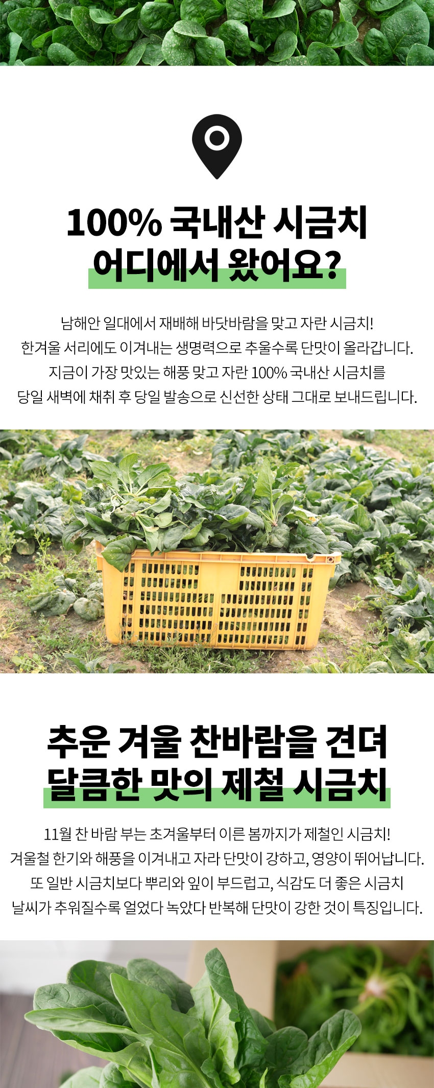 c261e3c78bb86febe40643e9e9666891_1764179329_4749.jpg c261e3c78bb86febe40643e9e9666891_1764179329_4749.jpg