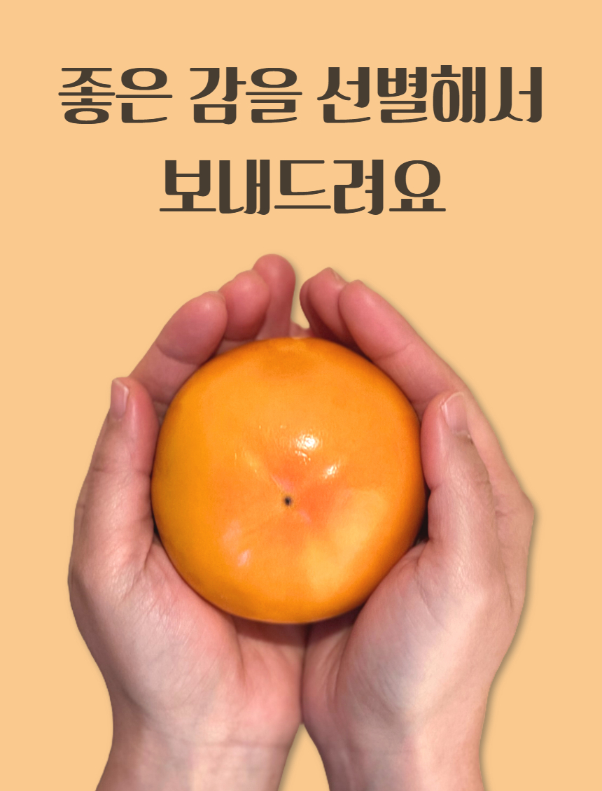 e72da6d752020ed0f778059d7b14c5a5_1762327467_6986.jpg e72da6d752020ed0f778059d7b14c5a5_1762327467_6986.jpg