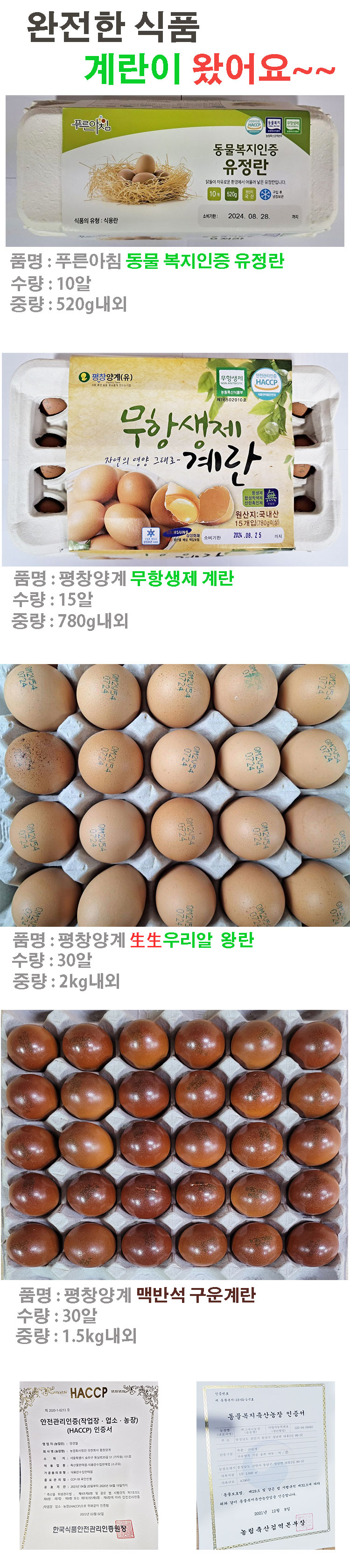 2ce8f3de05cf24ebba5afe9ed7b10839_1766316668_1652.jpg 2ce8f3de05cf24ebba5afe9ed7b10839_1766316668_1652.jpg