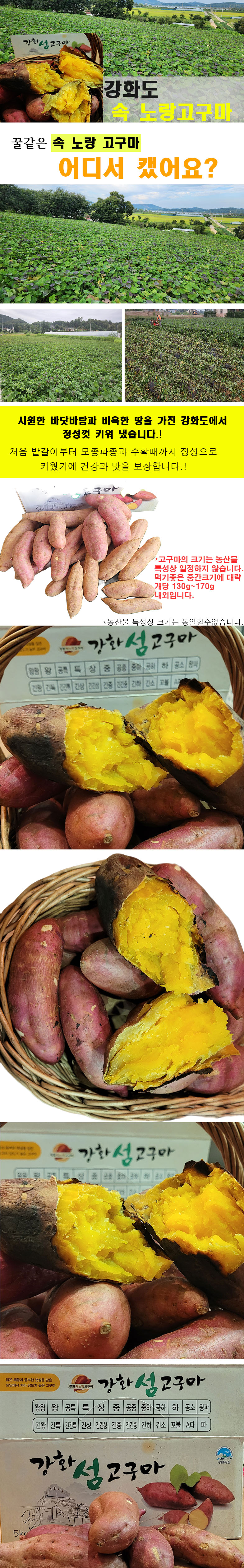 2ce8f3de05cf24ebba5afe9ed7b10839_1766318569_7808.jpg 2ce8f3de05cf24ebba5afe9ed7b10839_1766318569_7808.jpg