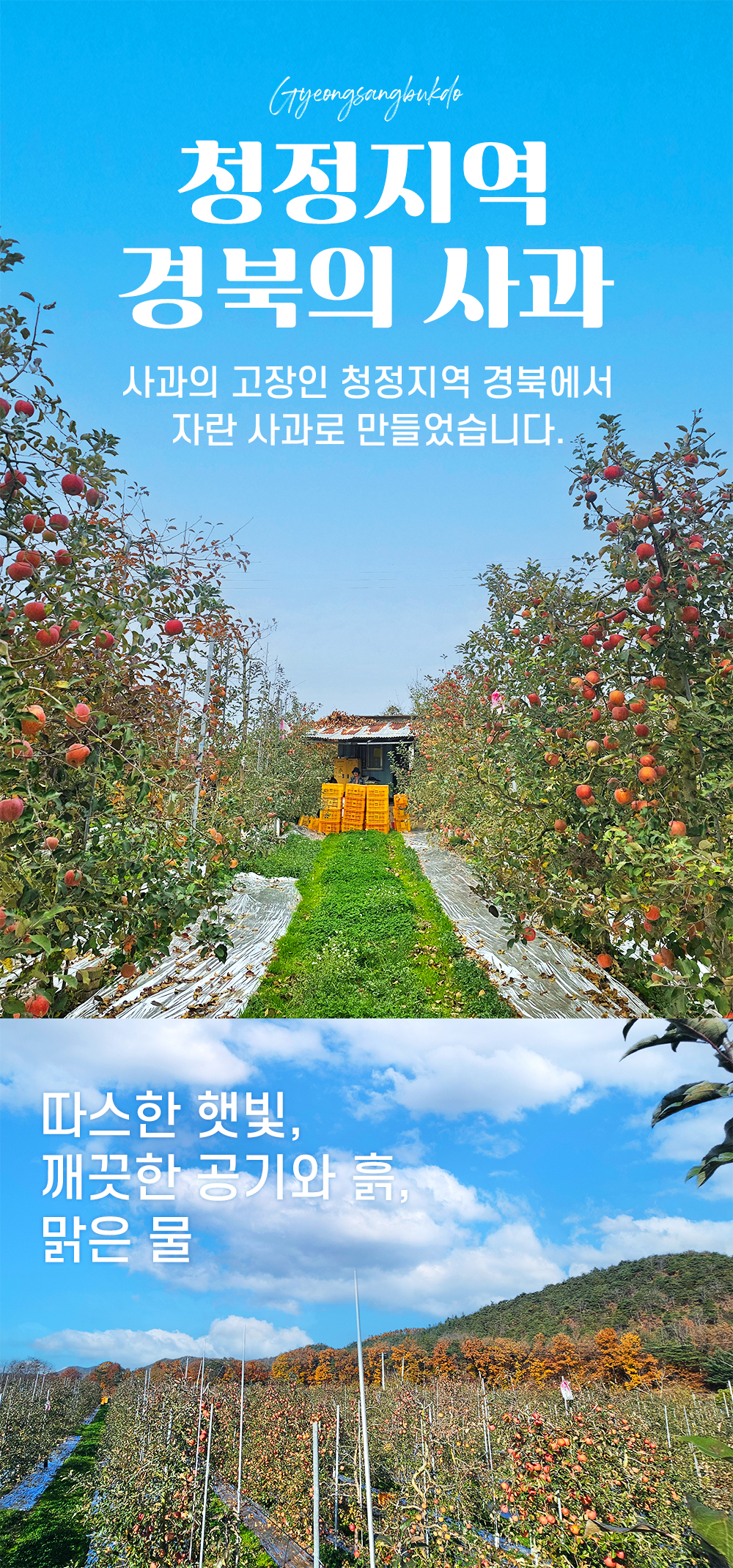 8a6b5aafe6525a70b1a3ac564cc0b80a_1766981936_5283.jpg 8a6b5aafe6525a70b1a3ac564cc0b80a_1766981936_5283.jpg