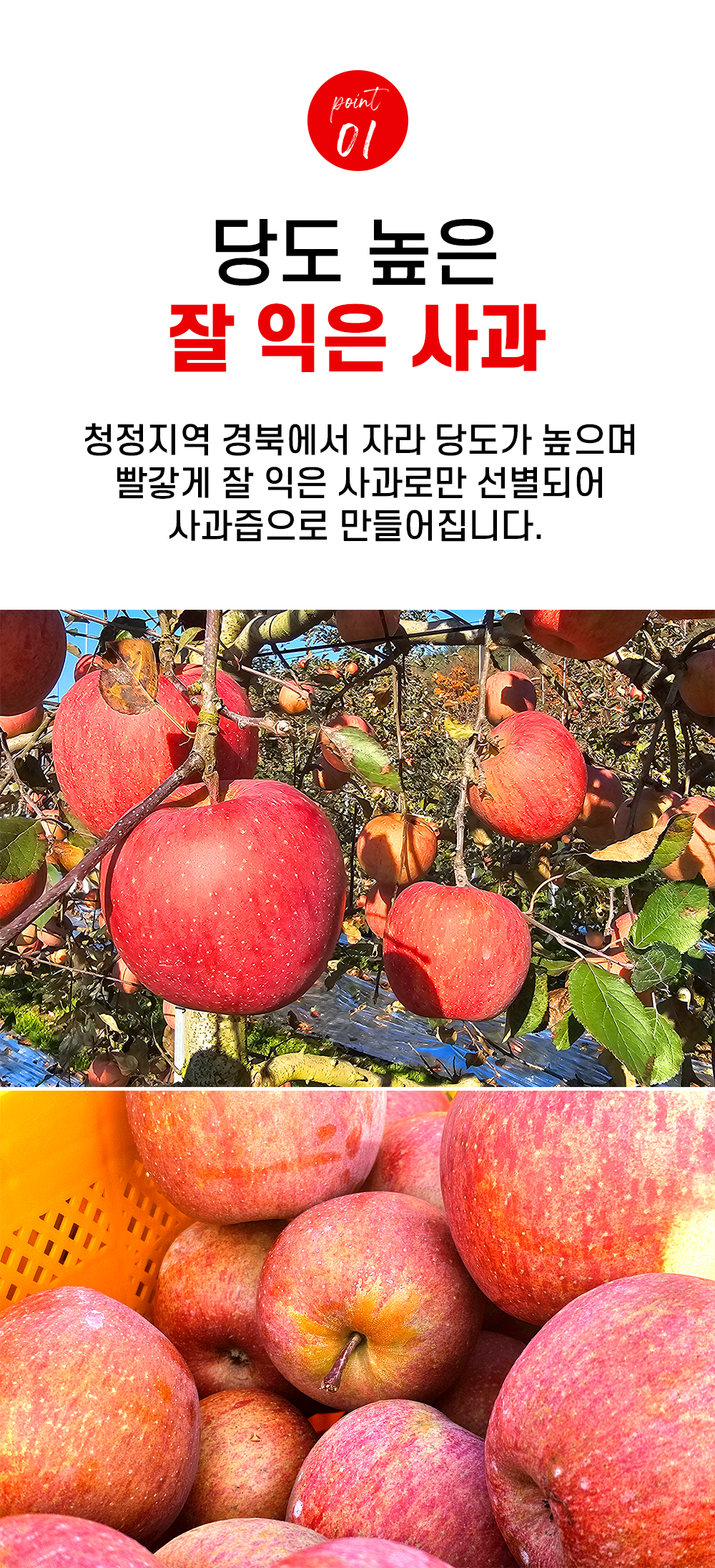 8a6b5aafe6525a70b1a3ac564cc0b80a_1766981937_6264.jpg 8a6b5aafe6525a70b1a3ac564cc0b80a_1766981937_6264.jpg