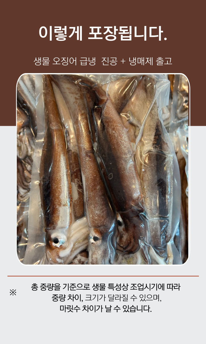 111e1c22e25198080fa2ec9cb1ae3915_1768443898_7131.png 111e1c22e25198080fa2ec9cb1ae3915_1768443898_7131.png