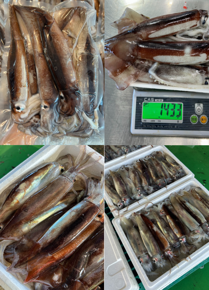 111e1c22e25198080fa2ec9cb1ae3915_1768443960_9541.png 111e1c22e25198080fa2ec9cb1ae3915_1768443960_9541.png