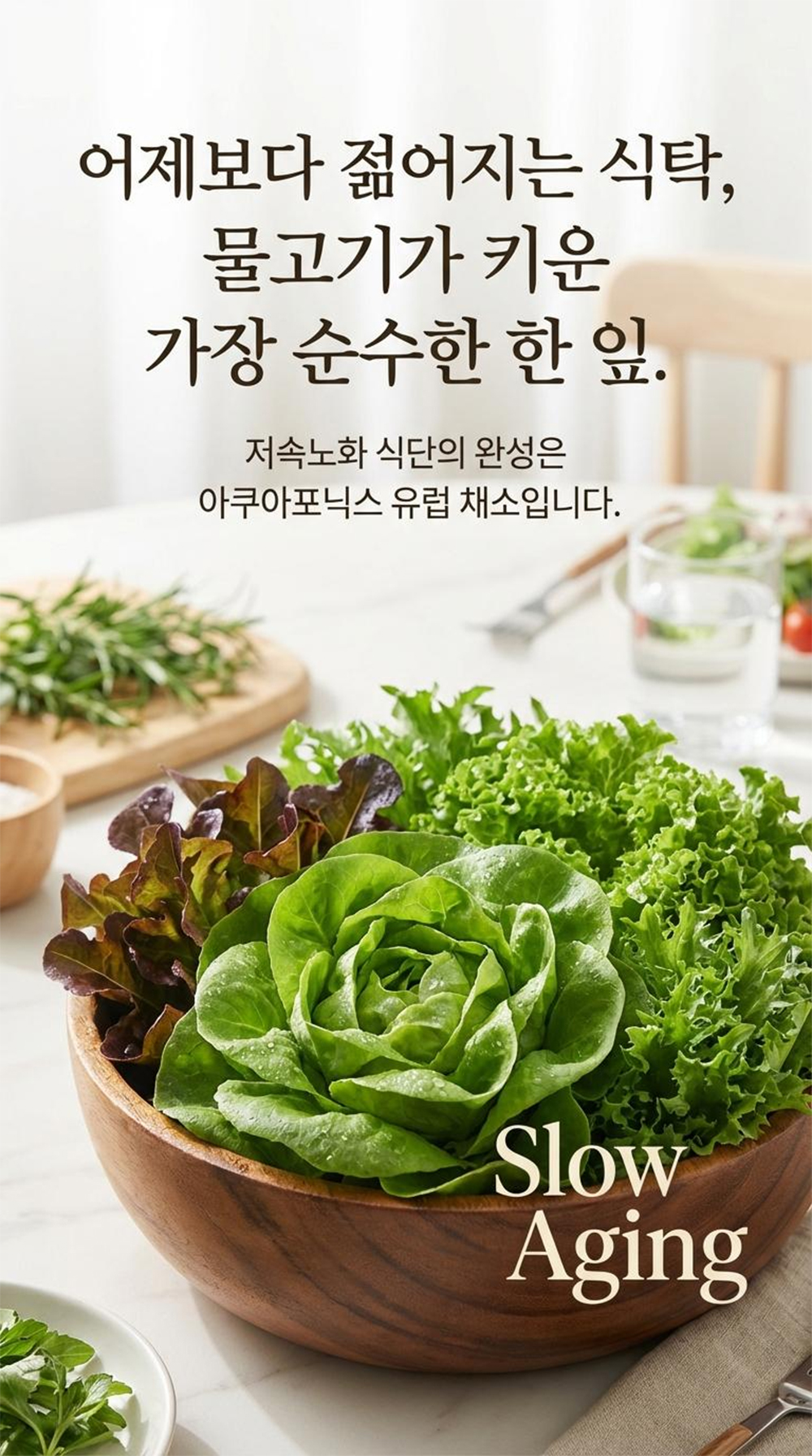 14d2038c8756e4b9618f4575945306c7_1769422487_1543.jpg 14d2038c8756e4b9618f4575945306c7_1769422487_1543.jpg