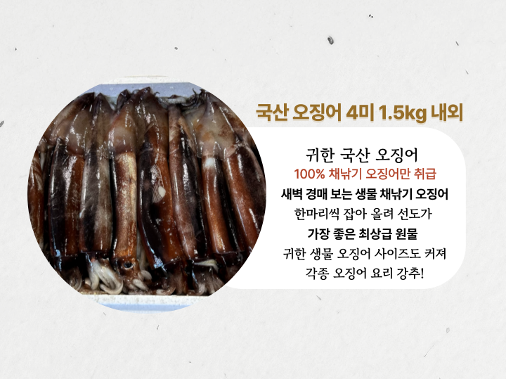 33a9d2385242012d0e1027f04043050f_1768132255_5195.png 33a9d2385242012d0e1027f04043050f_1768132255_5195.png