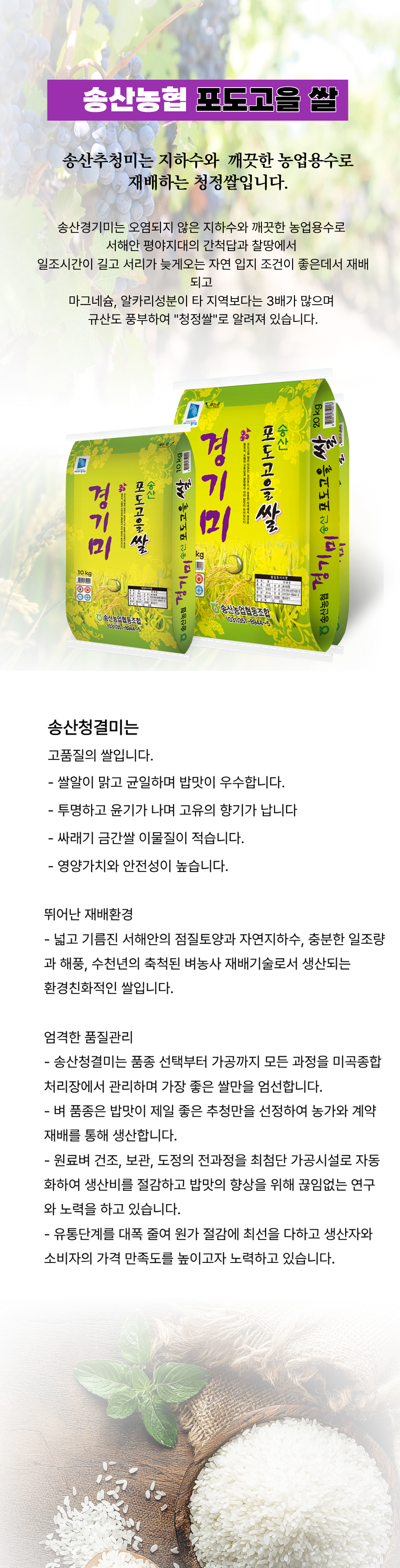 3a0fd735d4cbc35a52fcbeaed2be76a5_1769581357_0504.jpg 3a0fd735d4cbc35a52fcbeaed2be76a5_1769581357_0504.jpg