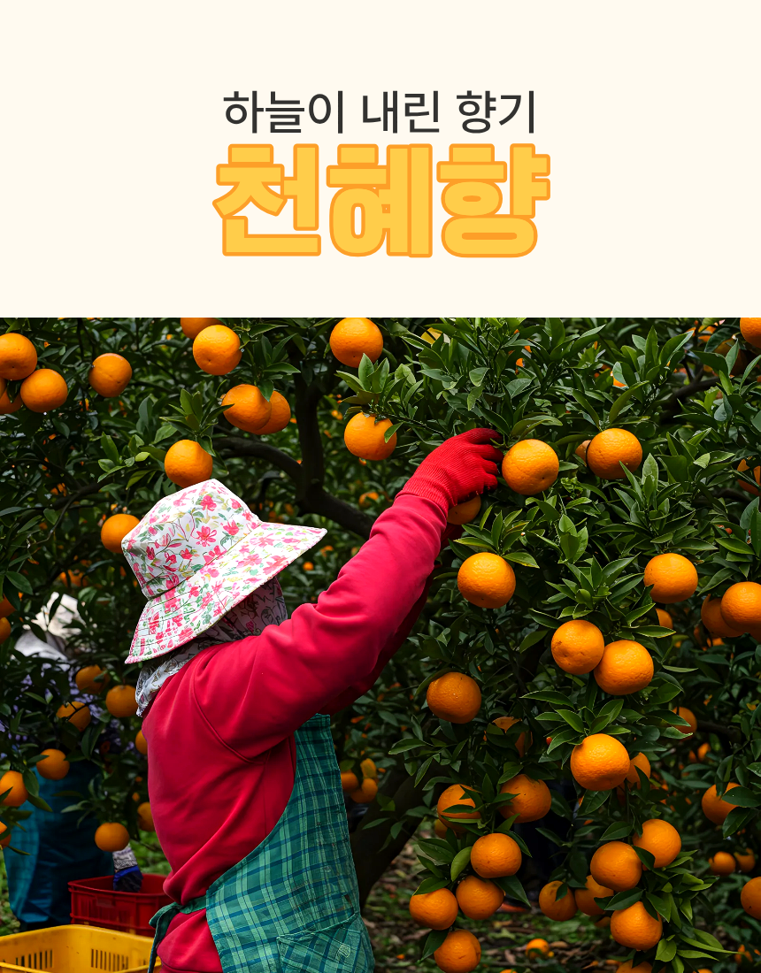 516b3718308373f388f167c4a66e23e0_1768547361_7508.png 516b3718308373f388f167c4a66e23e0_1768547361_7508.png