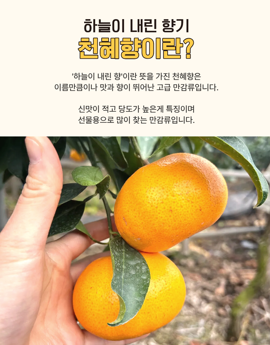 516b3718308373f388f167c4a66e23e0_1768547362_0273.png 516b3718308373f388f167c4a66e23e0_1768547362_0273.png