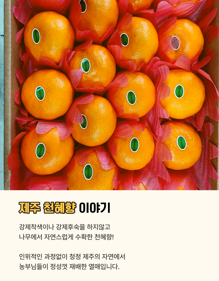 516b3718308373f388f167c4a66e23e0_1768547362_2189.png 516b3718308373f388f167c4a66e23e0_1768547362_2189.png