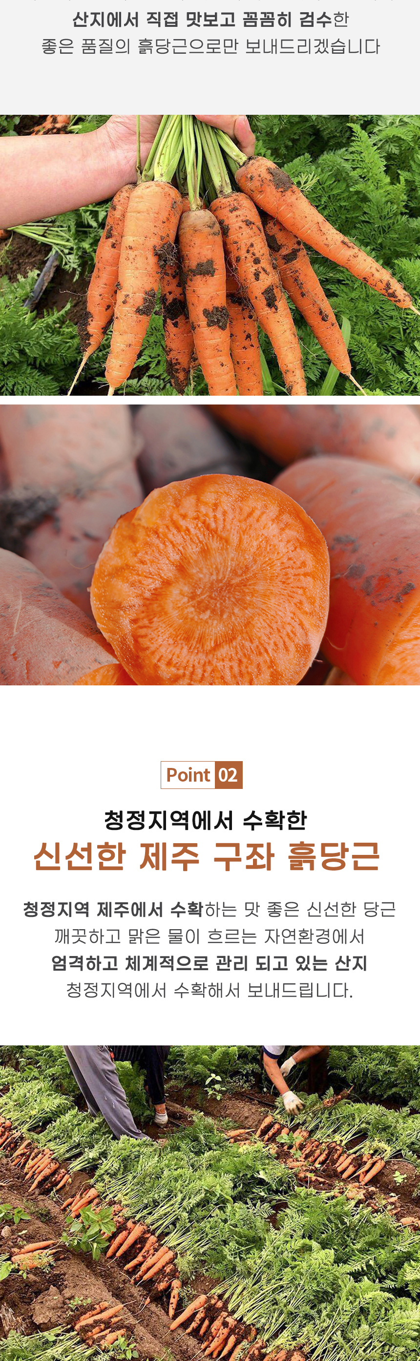 5ff38057bb3e90031a57a00fadefe205_1769745874_6501.jpg 5ff38057bb3e90031a57a00fadefe205_1769745874_6501.jpg