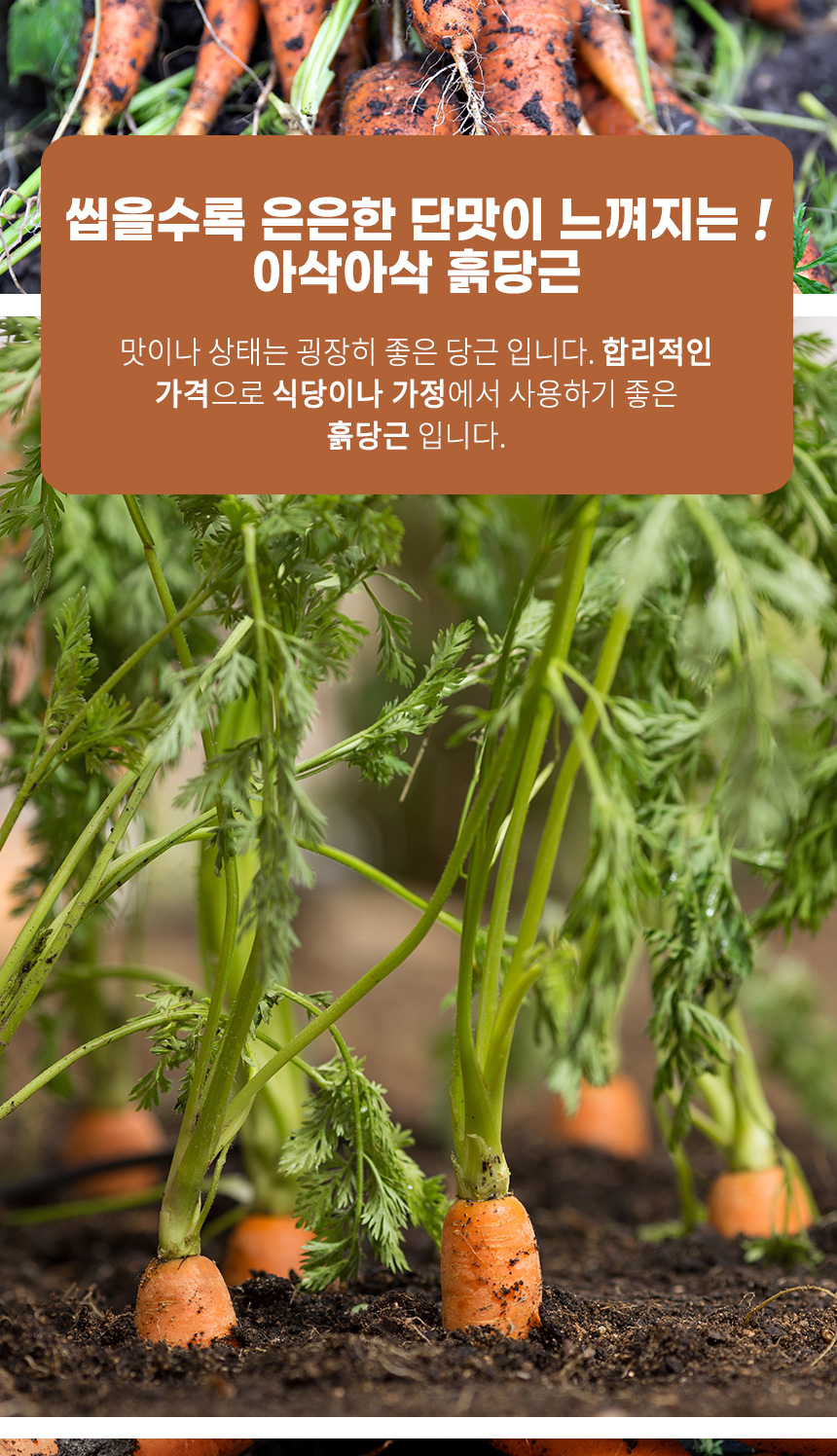 5ff38057bb3e90031a57a00fadefe205_1769745910_2723.jpg 5ff38057bb3e90031a57a00fadefe205_1769745910_2723.jpg