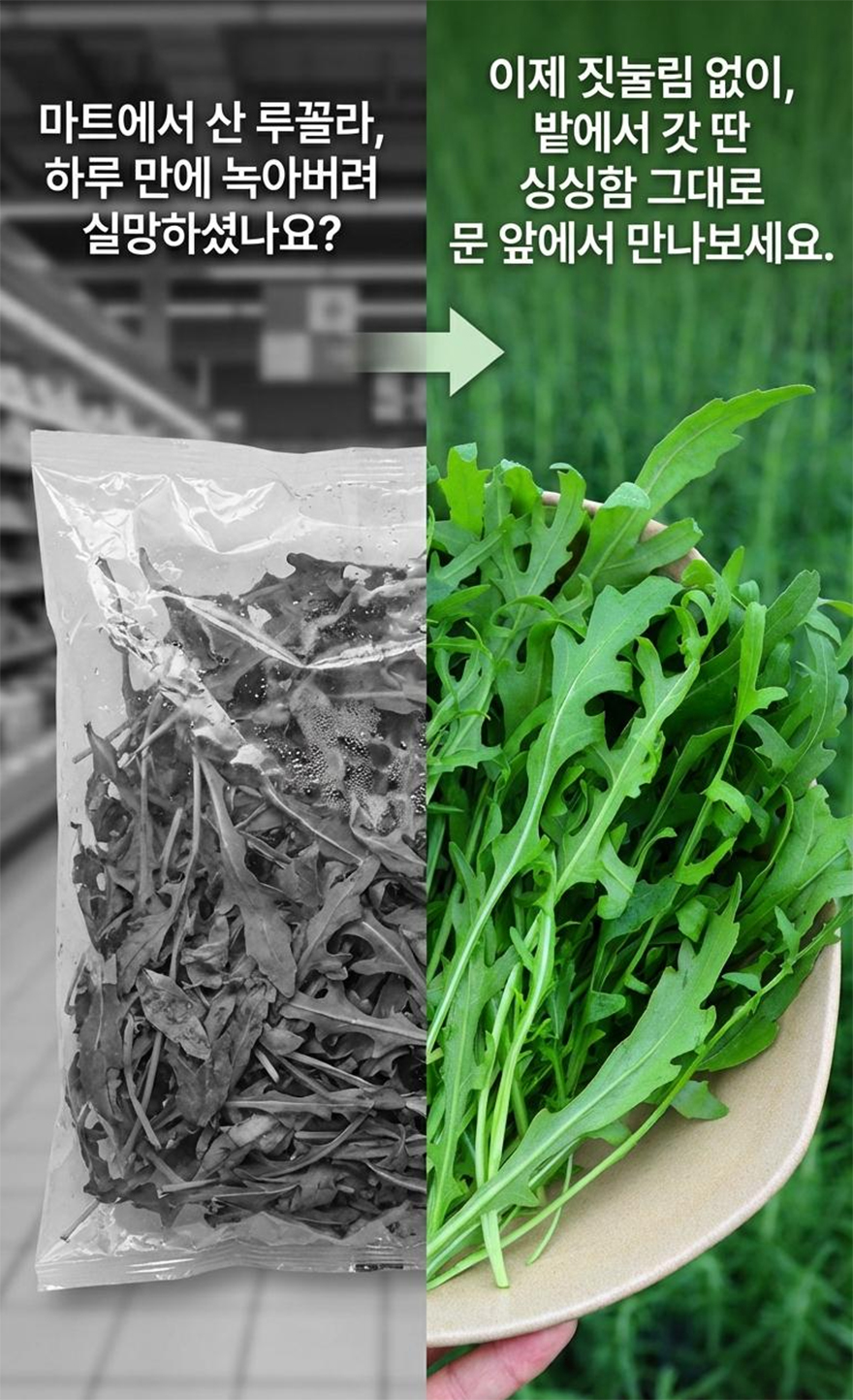 8f8190be4dcd0ba1b453dad1f224d6d7_1769669439_7199.jpg 8f8190be4dcd0ba1b453dad1f224d6d7_1769669439_7199.jpg