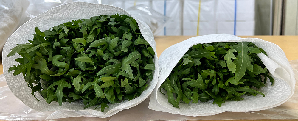 8f8190be4dcd0ba1b453dad1f224d6d7_1769679323_6496.jpg 8f8190be4dcd0ba1b453dad1f224d6d7_1769679323_6496.jpg