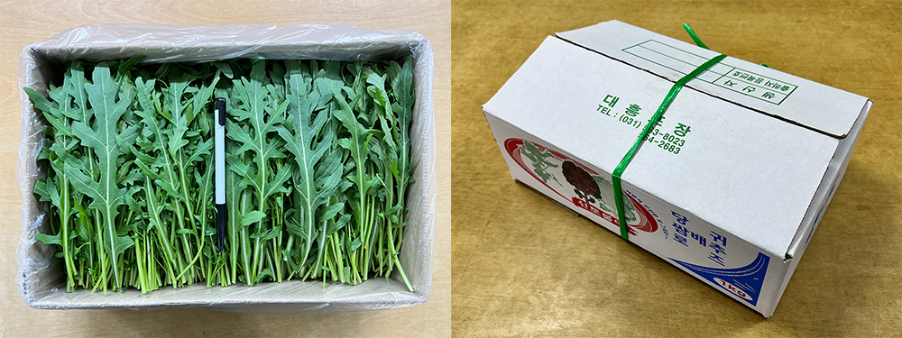 8f8190be4dcd0ba1b453dad1f224d6d7_1769679953_4542.jpg 8f8190be4dcd0ba1b453dad1f224d6d7_1769679953_4542.jpg