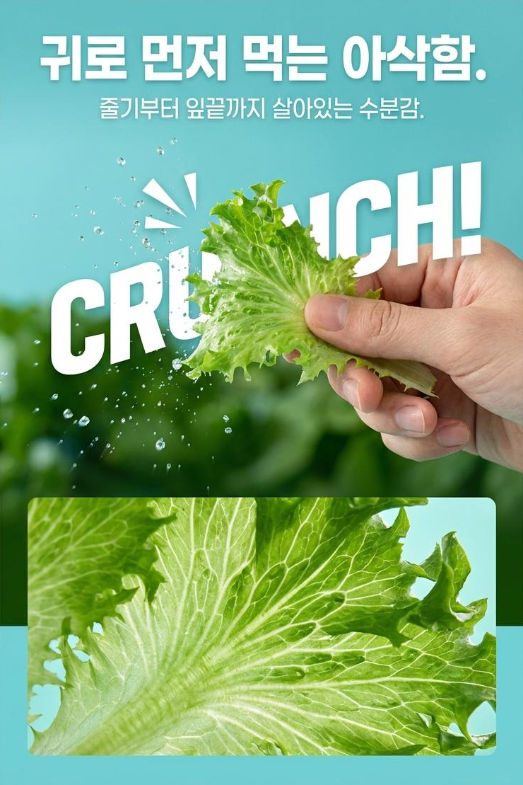 14eead607a9b49c7b3be09648ca36ba0_1771490117_0175.jpg 14eead607a9b49c7b3be09648ca36ba0_1771490117_0175.jpg