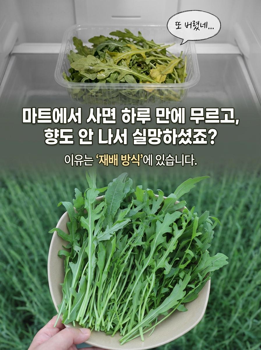 27c6d7dfb40f2832d5badb49e31be085_1771511534_8766.jpg 27c6d7dfb40f2832d5badb49e31be085_1771511534_8766.jpg