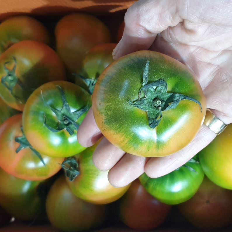 6d3c2a8df2f3c72849a0eee322b4af77_1771661219_7865.jpg 6d3c2a8df2f3c72849a0eee322b4af77_1771661219_7865.jpg