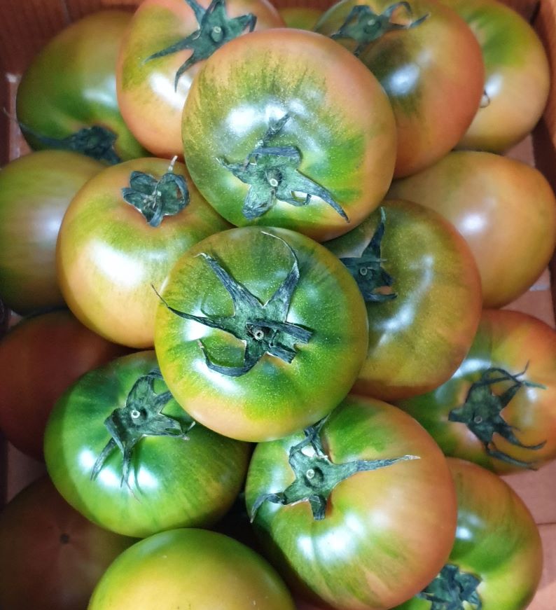 6d3c2a8df2f3c72849a0eee322b4af77_1771661222_7907.jpg 6d3c2a8df2f3c72849a0eee322b4af77_1771661222_7907.jpg